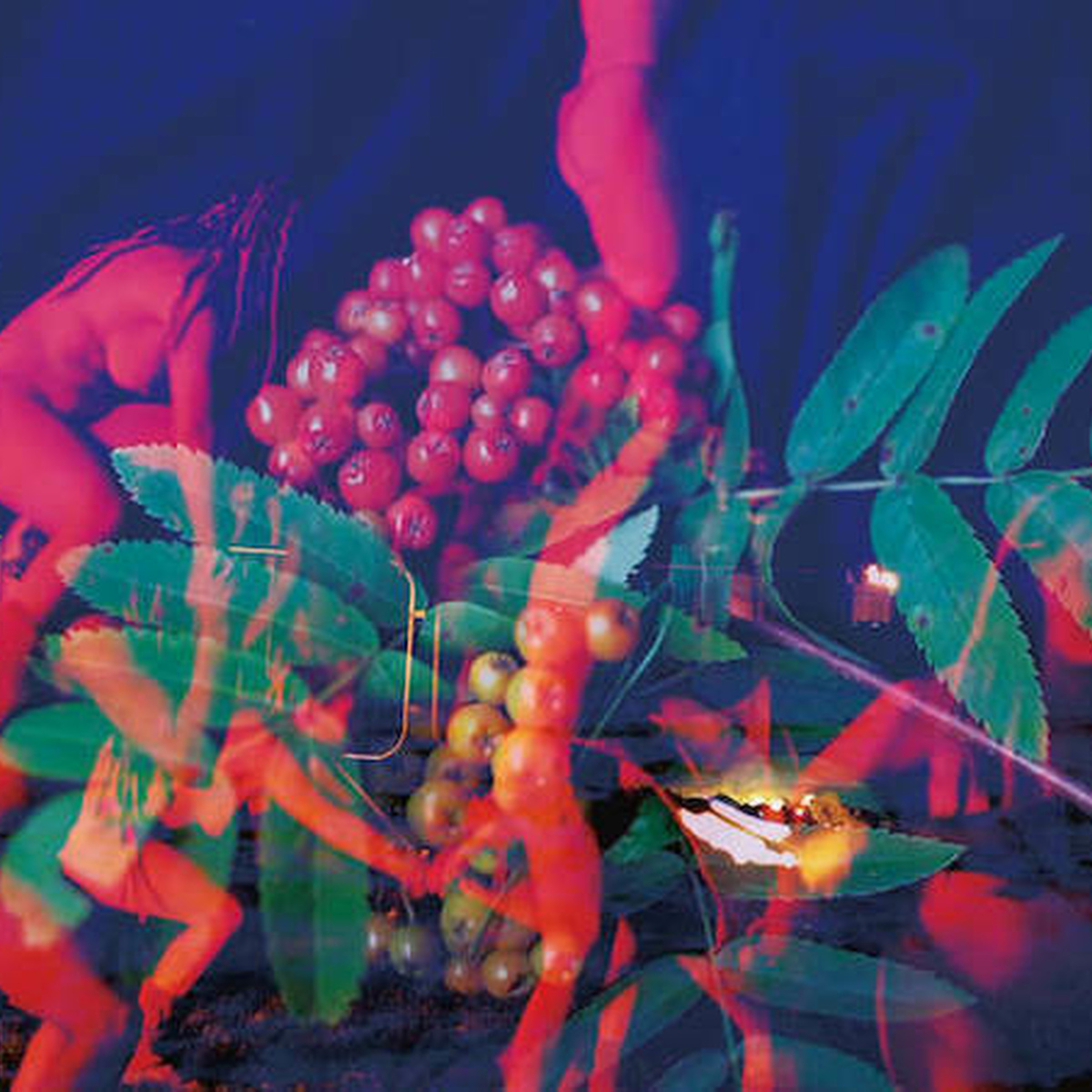Vividly coloured overlayed images featuring bodies and plants.
