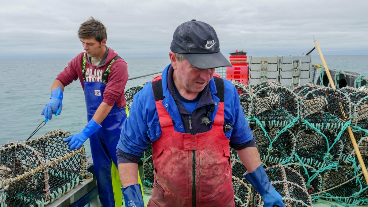 Two fisherman at sea handling lobster creels.