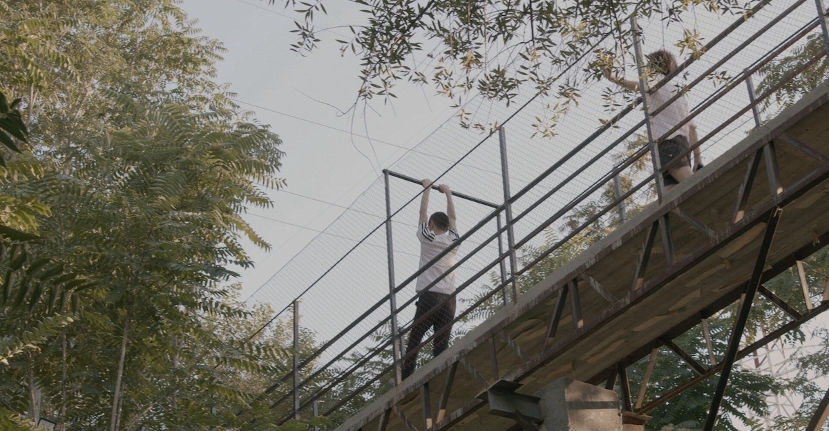 Two young men, seen from the back, are swinging on metal bars while crossing a rusty bridge among the trees.