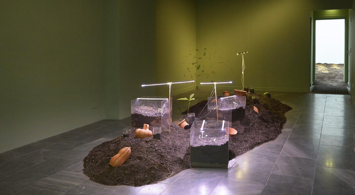 An image of a gallery space, in the centre is a mound of soil with growing plants lit by grow lights.
