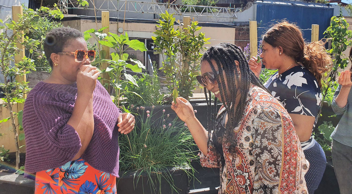 A group of people smelling flowers and picking plants in a sunny urban garden