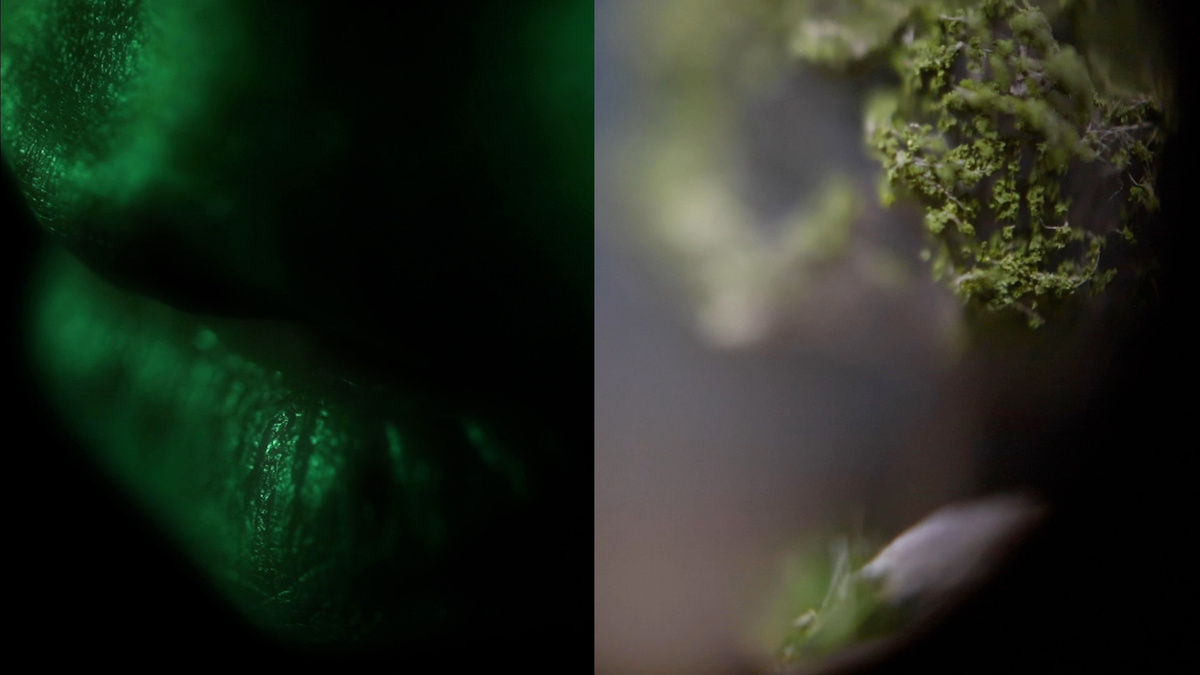 On the right, a close up of lips lit in a deep green light and surrounded by darkness. On the left, a green model tree.