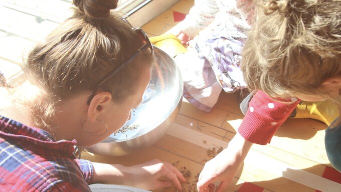 Adults and children sorting and examining seeds.