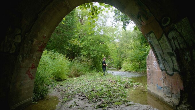 A photo under the arch of a bridge, a person wearing a baseball cap stands in the woods at the edge of a river.