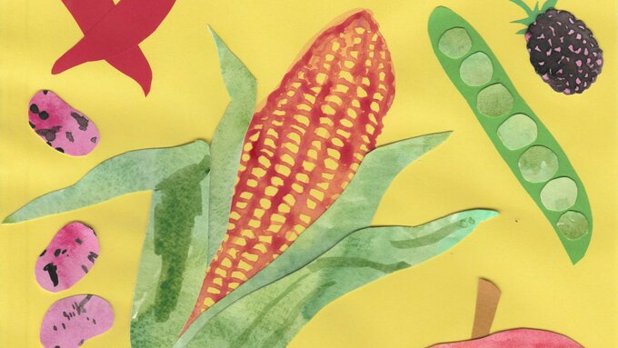 Cut paper and watercolour drawing of corn, peppers, pink beans, pea pod, berry and apple against a yellow background