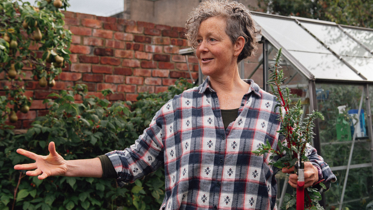 A woman with grey curly hair in a checked shirt stood in a garden. Arms outstretched holding red chard and scissors.