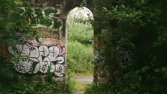 A brown stone wall with an arch in the middle. Lots of green plants are growing around it.