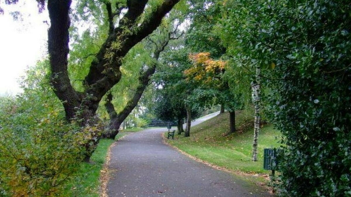 A tarmac path surrounded by trees.