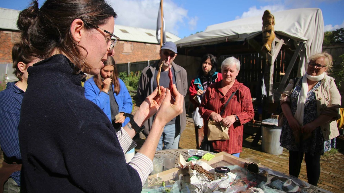 In a workshop circle a seed librarian holds up a pair of crispy peas for demonstration, in a sunny outdoor garden.