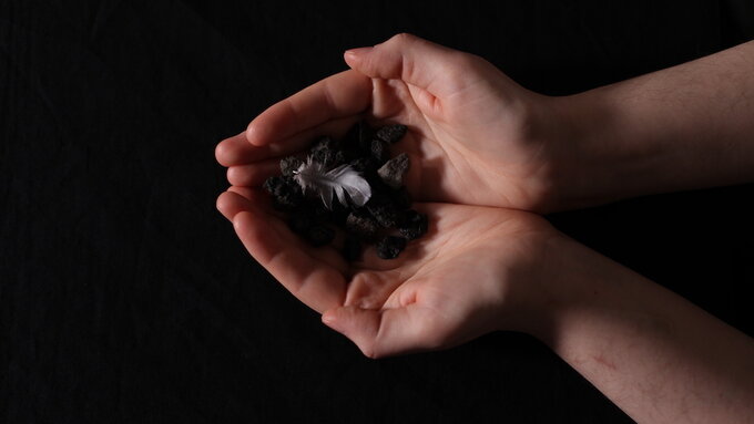 Hands carefully hold what seems to be a small pile of black stones and a small white and grey bird feather.